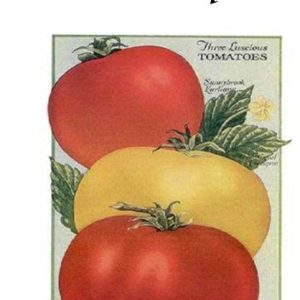TranquilaTEA’s Tomato Bisque Spice Packet